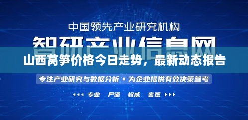 山西莴笋价格今日走势，最新动态报告