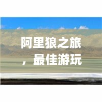 阿里狼之旅，最佳游玩攻略！