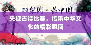 央视古诗比赛，传承中华文化的精彩瞬间