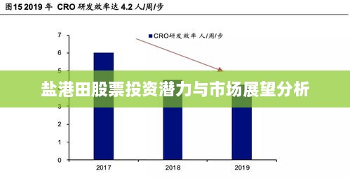 盐港田股票投资潜力与市场展望分析