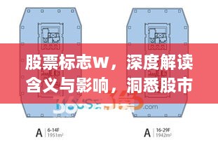 股票标志W，深度解读含义与影响，洞悉股市动态！