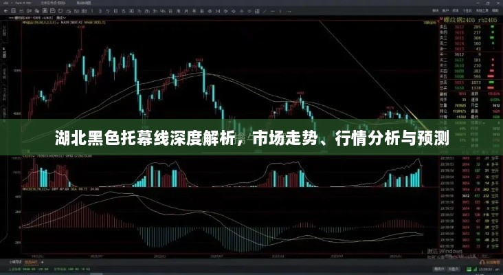 湖北黑色托幕线深度解析，市场走势、行情分析与预测