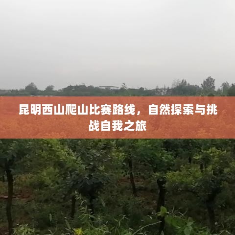 昆明西山爬山比赛路线，自然探索与挑战自我之旅