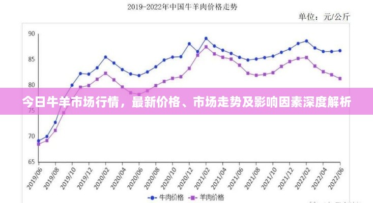 今日牛羊市场行情，最新价格、市场走势及影响因素深度解析