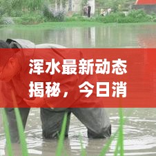 浑水最新动态揭秘，今日消息图片全解析