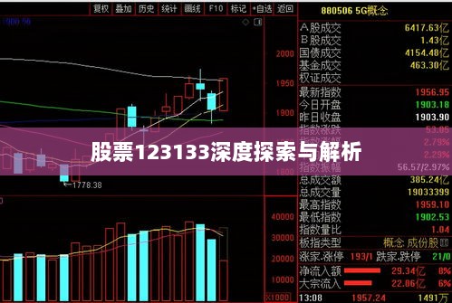 股票123133深度探索与解析