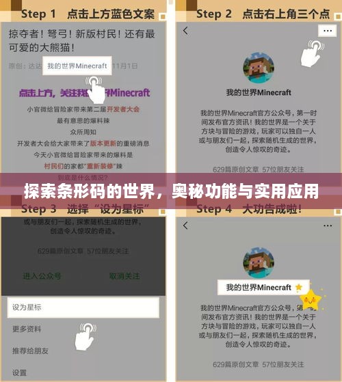 探索条形码的世界，奥秘功能与实用应用