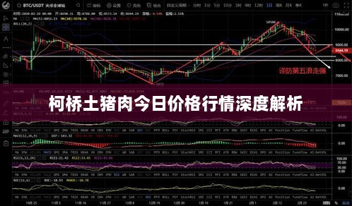 柯桥土猪肉今日价格行情深度解析