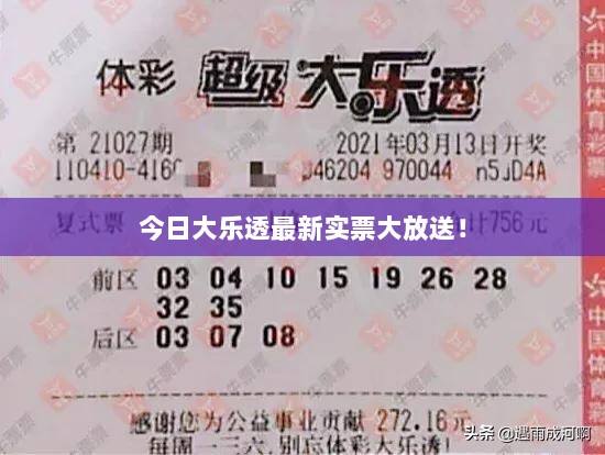 今日大乐透最新实票大放送！