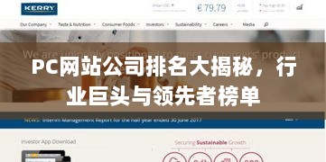 PC网站公司排名大揭秘，行业巨头与领先者榜单