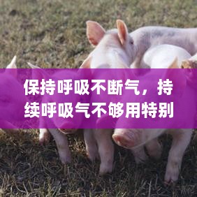 保持呼吸不断气，持续呼吸气不够用特别难受 