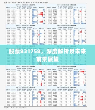 股票831758，深度解析及未来前景展望