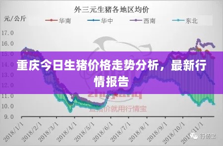 重庆今日生猪价格走势分析，最新行情报告