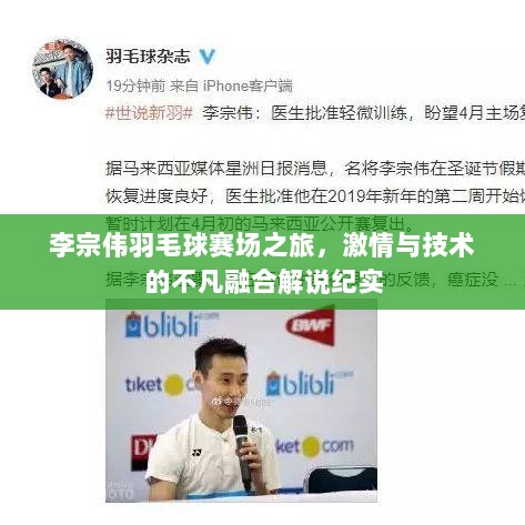 李宗伟羽毛球赛场之旅，激情与技术的不凡融合解说纪实