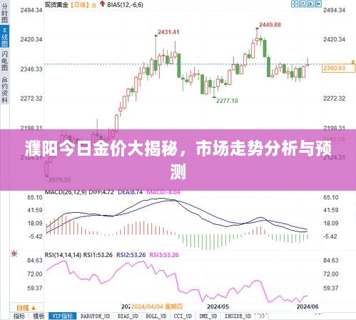 濮阳今日金价大揭秘，市场走势分析与预测