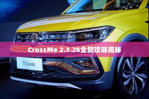 CrossMe 2.3.28全新攻略揭秘