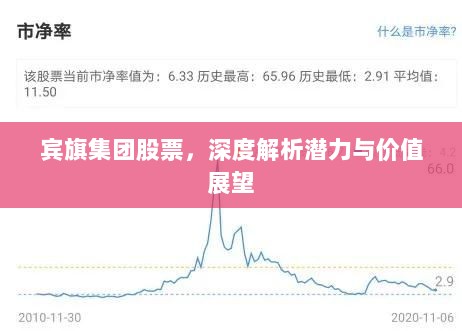 宾旗集团股票，深度解析潜力与价值展望