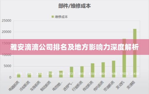 雅安滴滴公司排名及地方影响力深度解析