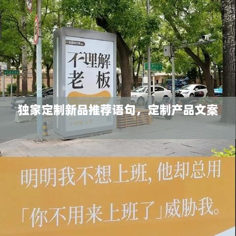 独家定制新品推荐语句，定制产品文案 