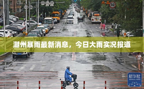 潮州暴雨最新消息，今日大雨实况报道