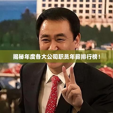 揭秘年度各大公司职员年薪排行榜！