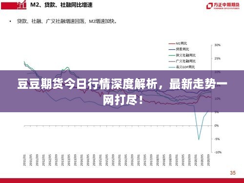 豆豆期货今日行情深度解析，最新走势一网打尽！