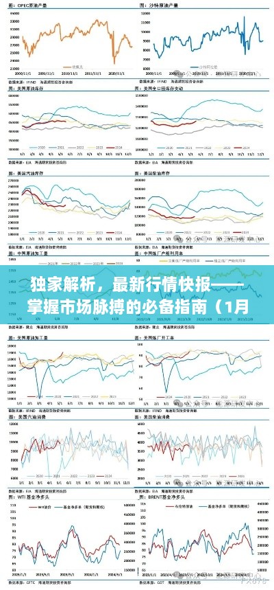 独家解析，最新行情快报——掌握市场脉搏的必备指南（1月19日行情日报）