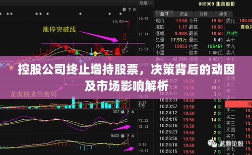 控股公司终止增持股票，决策背后的动因及市场影响解析