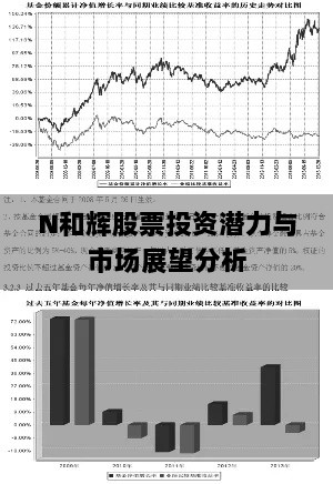 N和辉股票投资潜力与市场展望分析