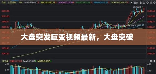 2025年1月26日 第3页