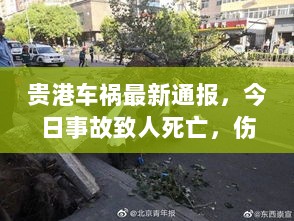 贵港车祸最新通报，今日事故致人死亡，伤亡细节曝光！