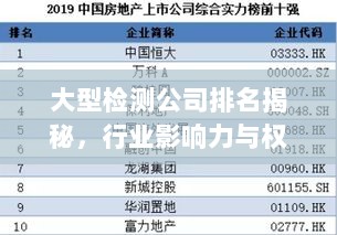 大型检测公司排名揭秘，行业影响力与权威榜单