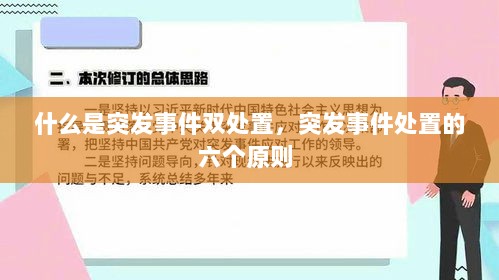 什么是突发事件双处置，突发事件处置的六个原则 