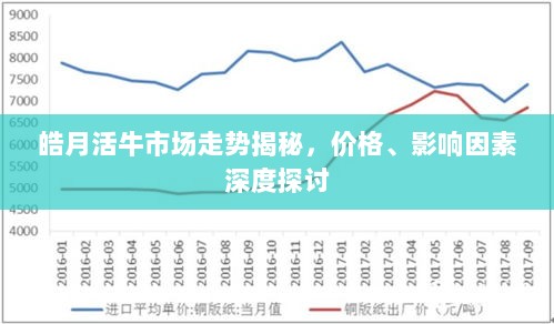 皓月活牛市场走势揭秘，价格、影响因素深度探讨