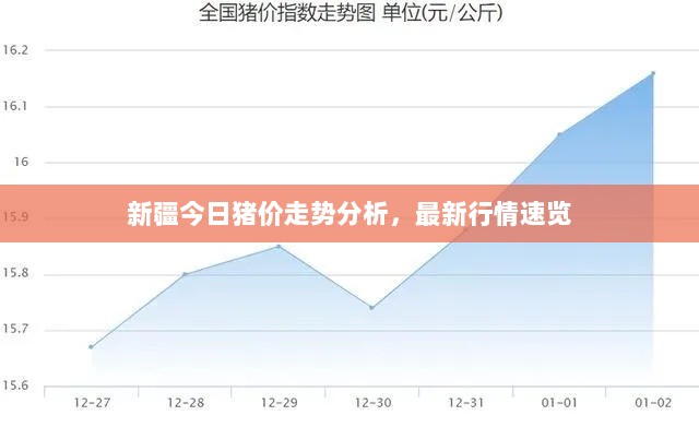 新疆今日猪价走势分析，最新行情速览