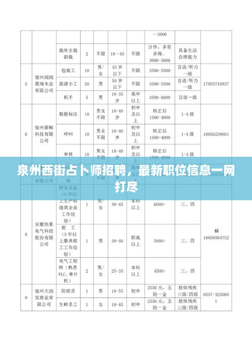 泉州西街占卜师招聘，最新职位信息一网打尽