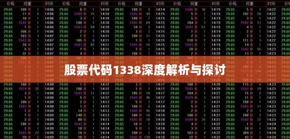 股票代码1338深度解析与探讨