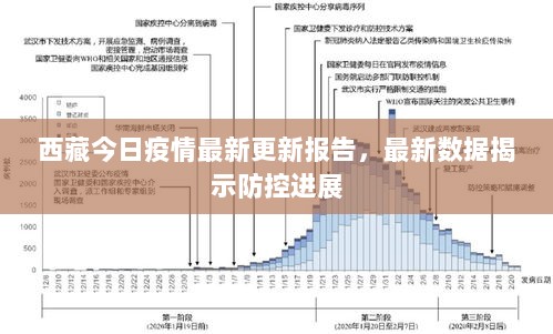 西藏今日疫情最新更新报告，最新数据揭示防控进展