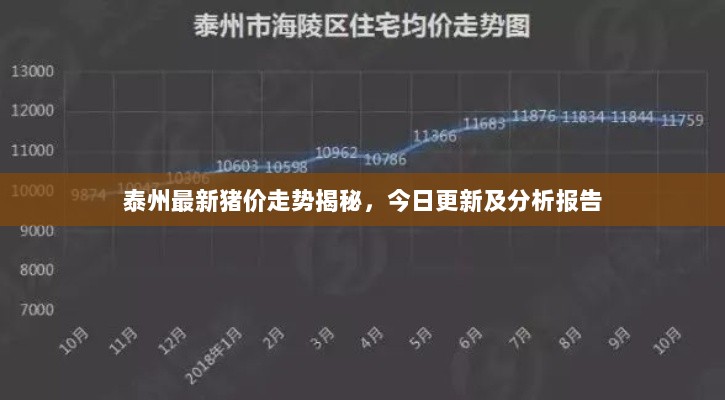 泰州最新猪价走势揭秘，今日更新及分析报告