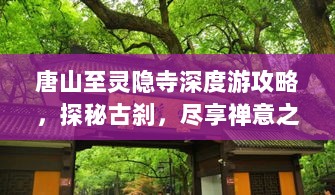 唐山至灵隐寺深度游攻略，探秘古刹，尽享禅意之旅！