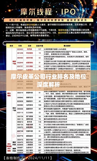 摩尔皮革公司行业排名及地位深度解析