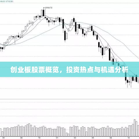 创业板股票概览，投资热点与机遇分析