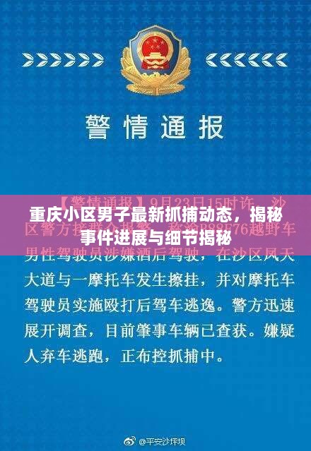 重庆小区男子最新抓捕动态，揭秘事件进展与细节揭秘