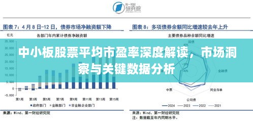 中小板股票平均市盈率深度解读，市场洞察与关键数据分析