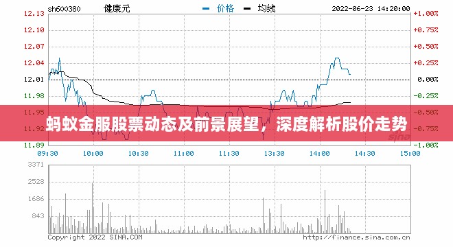 蚂蚁金服股票动态及前景展望，深度解析股价走势