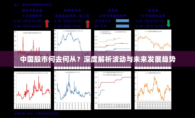 中国股市何去何从？深度解析波动与未来发展趋势