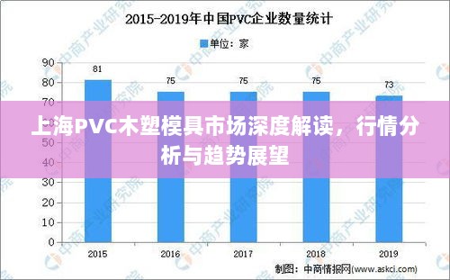 上海PVC木塑模具市场深度解读，行情分析与趋势展望