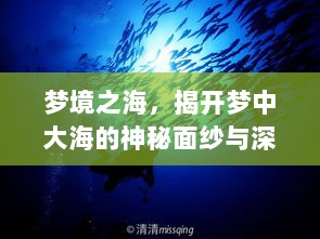 梦境之海，揭开梦中大海的神秘面纱与深层寓意