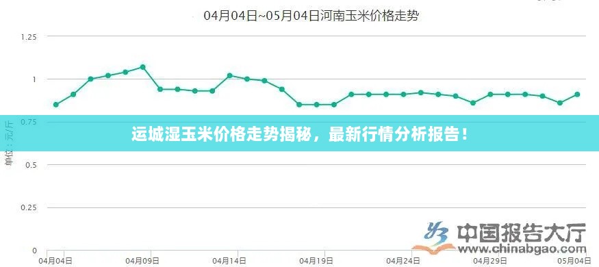 运城湿玉米价格走势揭秘，最新行情分析报告！