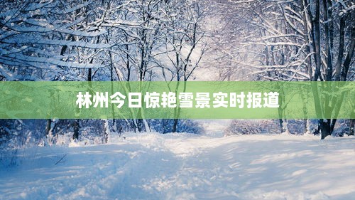 林州今日惊艳雪景实时报道